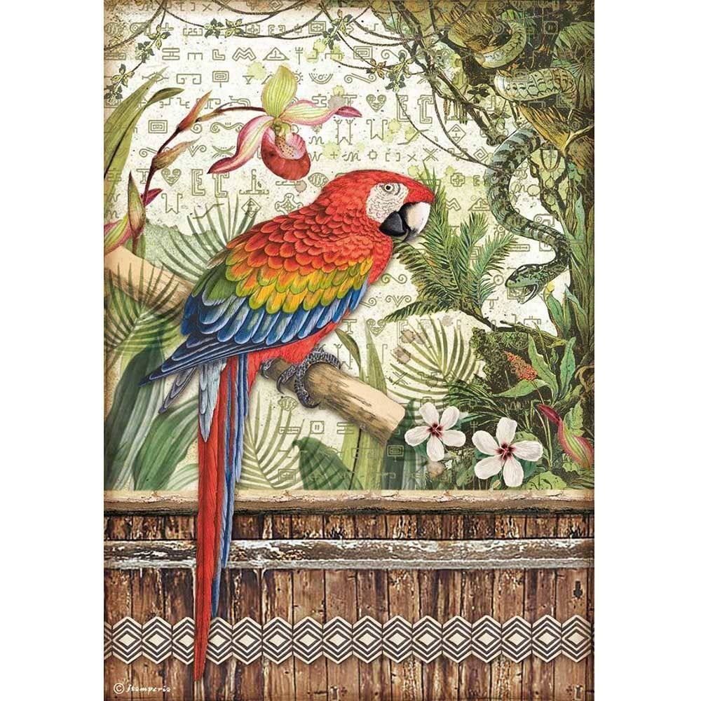 Stamperia Amazonia A4  Rice Paper Parrot (DFSA4531)