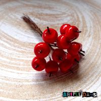 Christmas Craft Apple Berry Stems 1.2cm