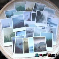 Deep Forest Paper Photo Stickers (PA002)
