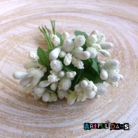 Stamen Clusters - Sparking Apple White