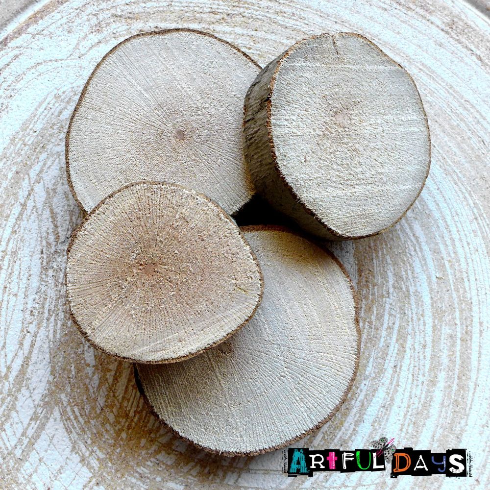 Pack of 4 Natural Wood Slices