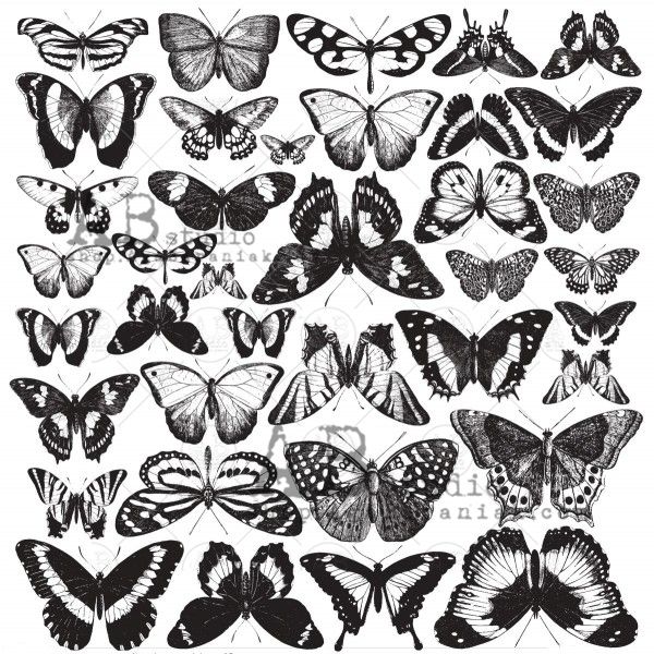 "White Butterfly" Paper Ephemera Die-cuts ID-51