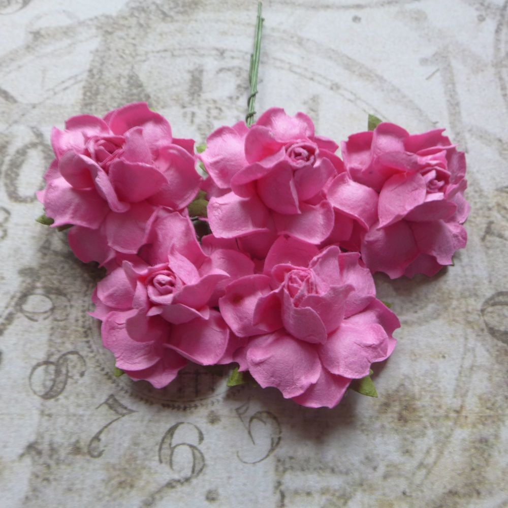 Closed Mulberry Roses ~ Pink (PF023)