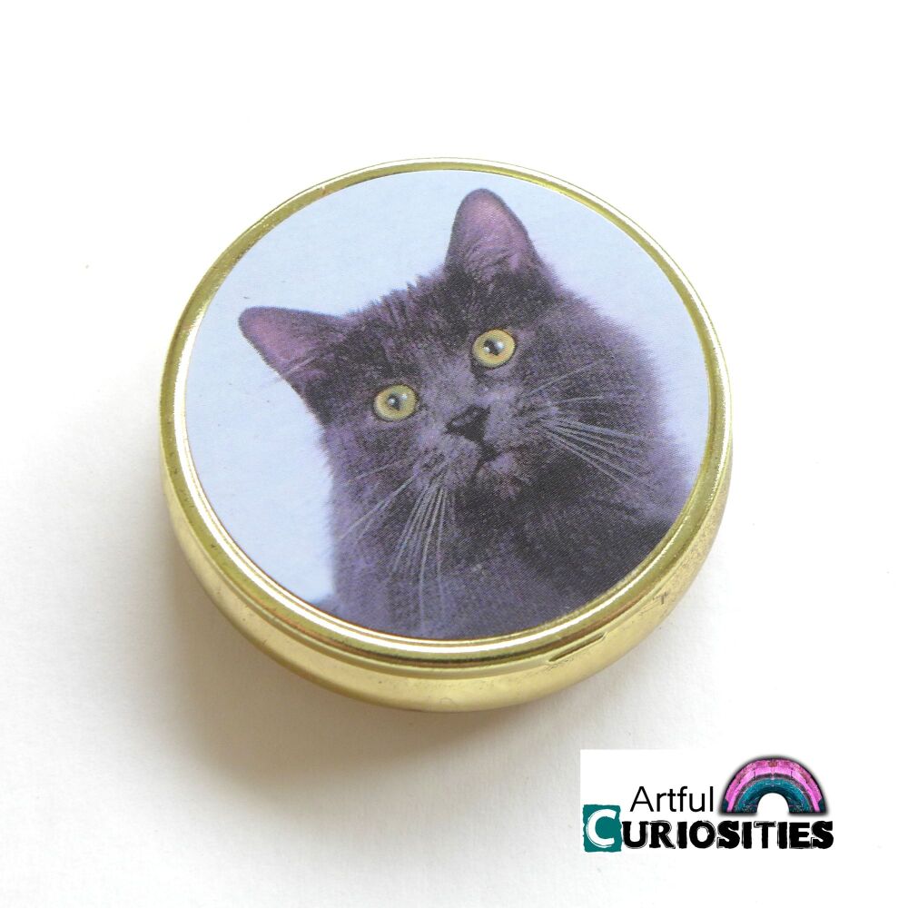 Boxes for Altering - Tiny Cat Pill Box - AC064