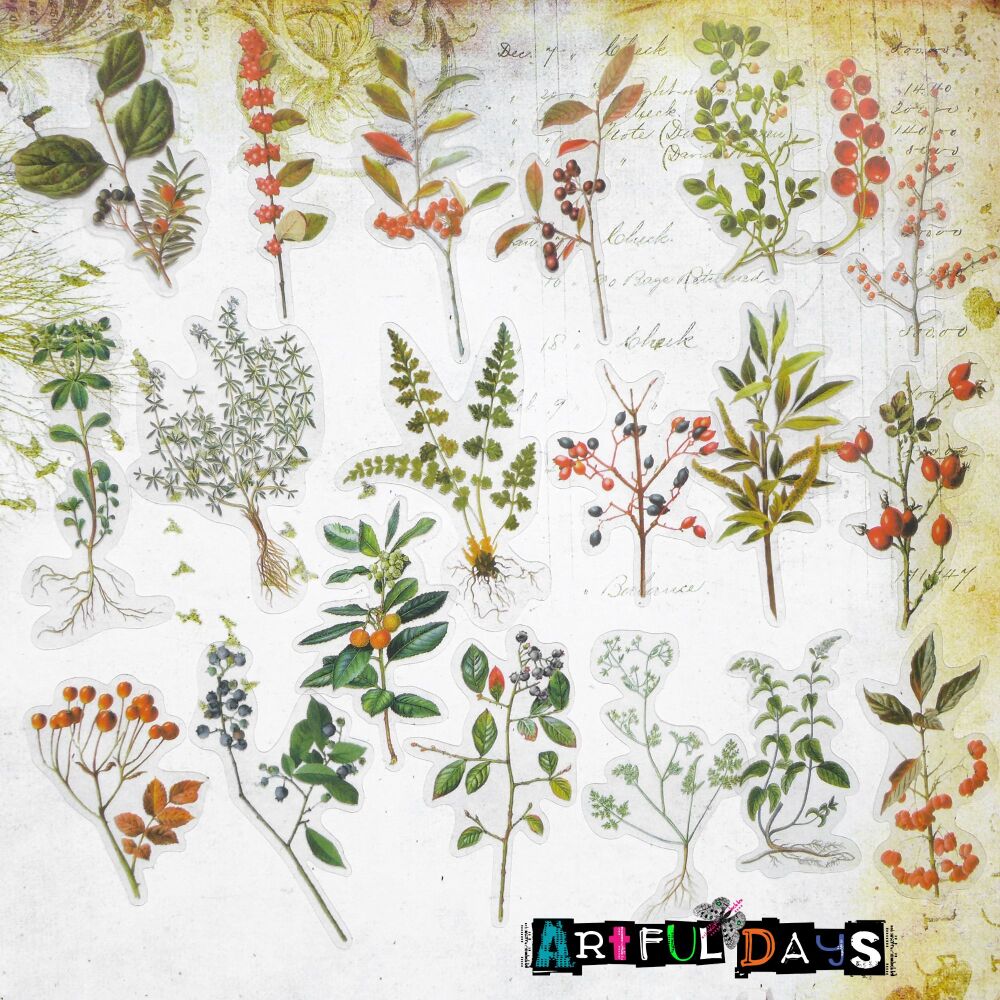 Berry & Leaves Clear Back Floral Stickers (PA030)