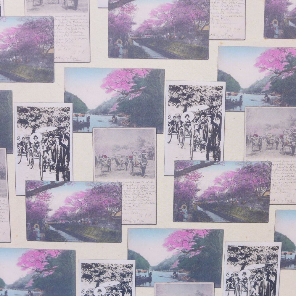 Japanese Blossom Tree Papers 5 x A4 Sheets