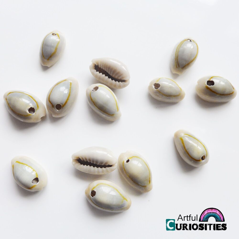 Beads - Tiny Sea Shell Beads - AC270