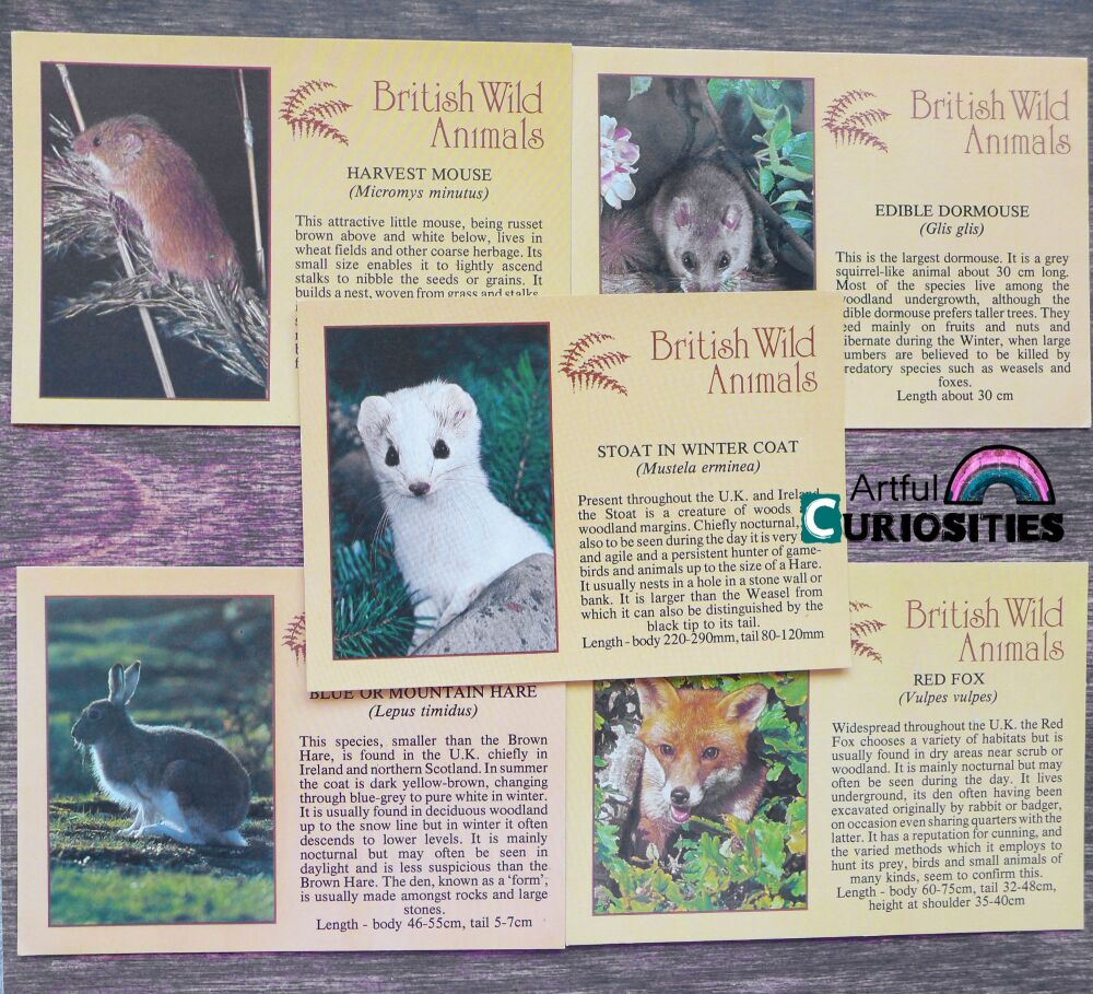 Postcard 5 Pack - British Wild Animals - AC326