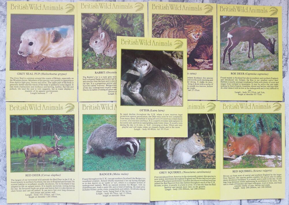 Postcard 9 Pack - British Wild Animals - AC327