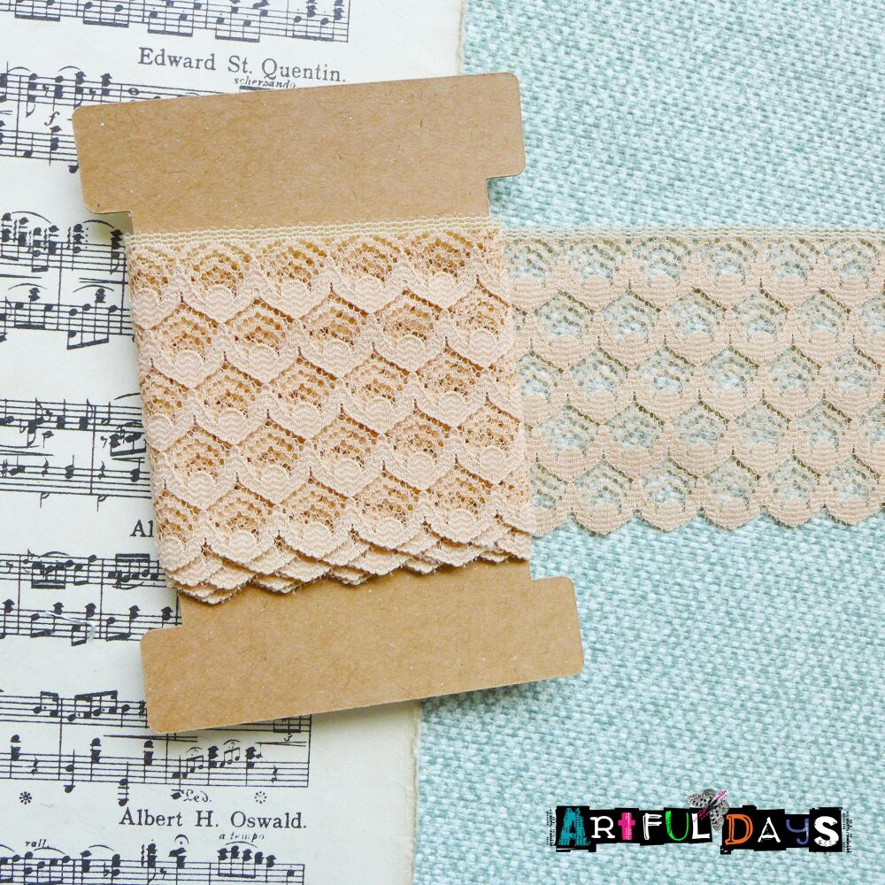 Lace Collection - 1m Wide Nude Lace - 0219L