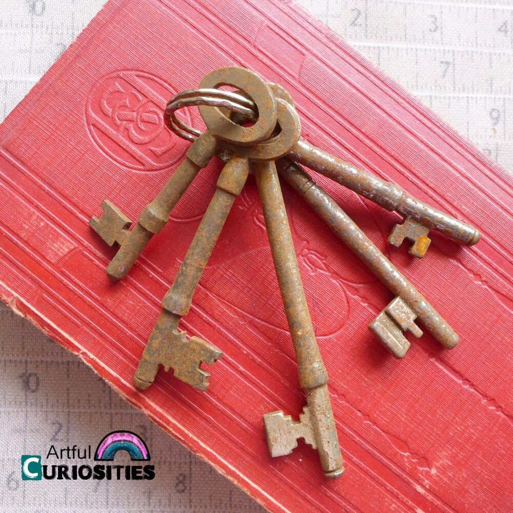 Rusty Stuff - Bunch of 5 Large Rusty Keys - AC401