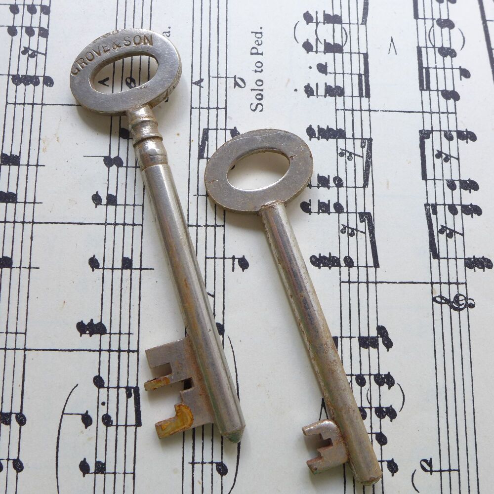 Rusty Stuff - Pair of Lightly Rusted Keys - AC426