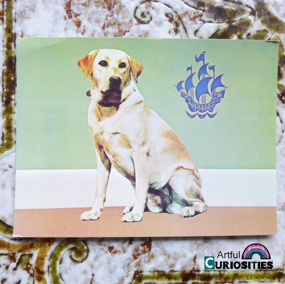 Postcard Single - Blue Peter "Buttons" Labrador Guide Dogs - AC446