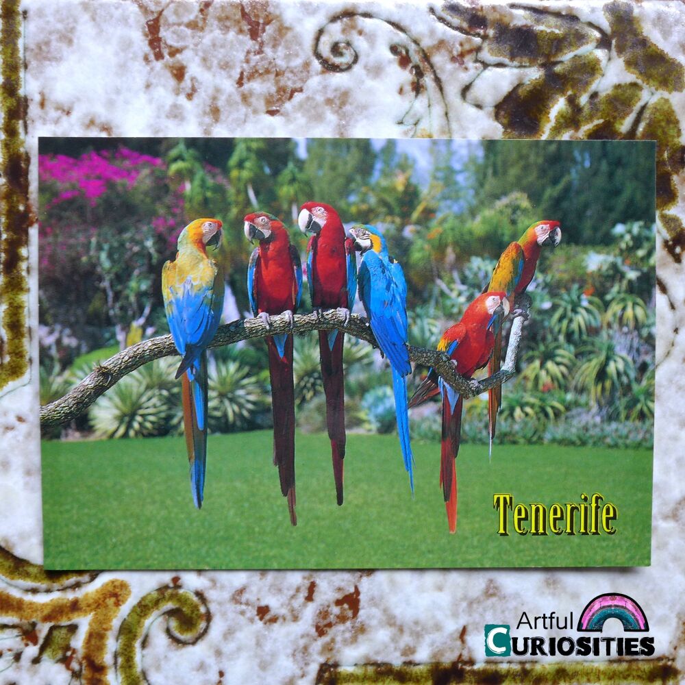 Postcard Single - A branch of Colourful Macaws  - AC452
