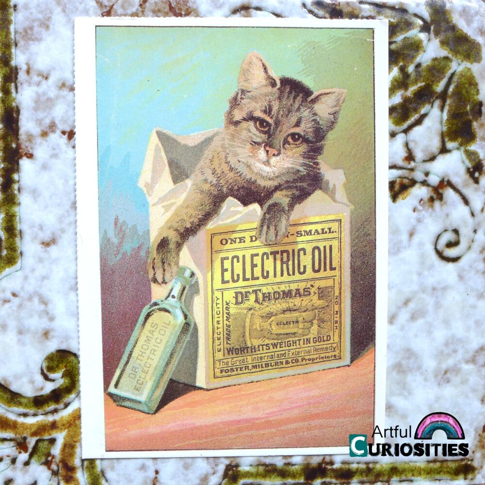 Postcard Single - Kitty Dr. Thomas' Eclectric Oil Vintage Ad - AC456
