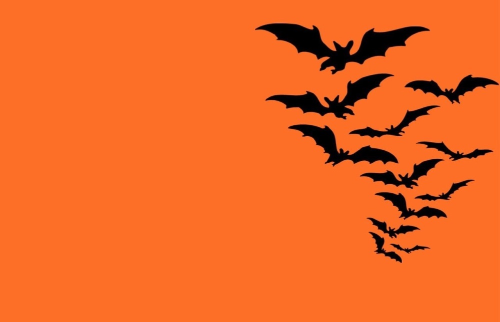 macrame bats Monday   15th  September 6pm -8pm