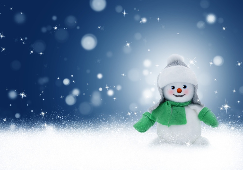 needle felted snowman  Monday 8th December 10am -12noon