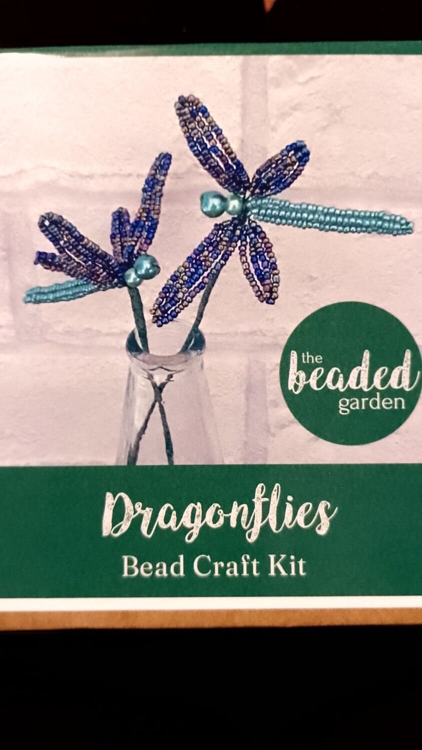 Beaded dragonflies Monday 20th April 10am -12 noon