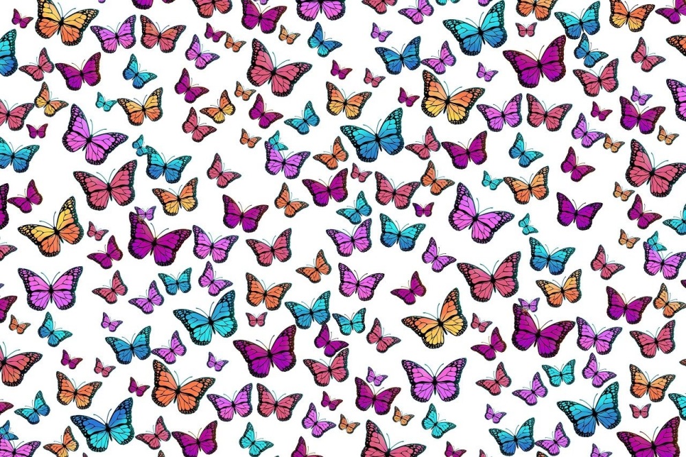 fantasy film butterfly workshop Friday 8th May 6.30pm -8.30pm