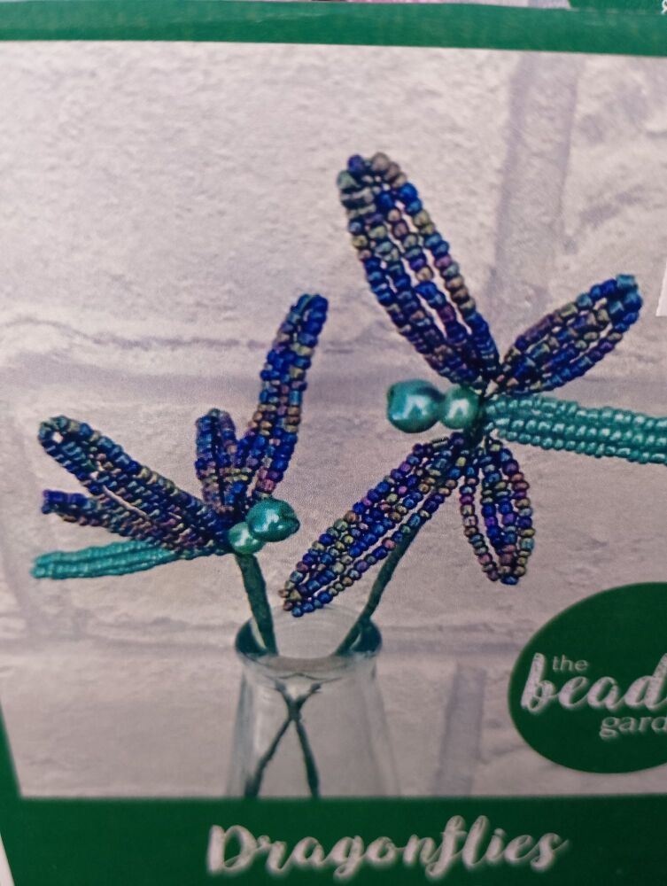 Beaded dragonfly workshop Monday 20th April 6pm -9pm