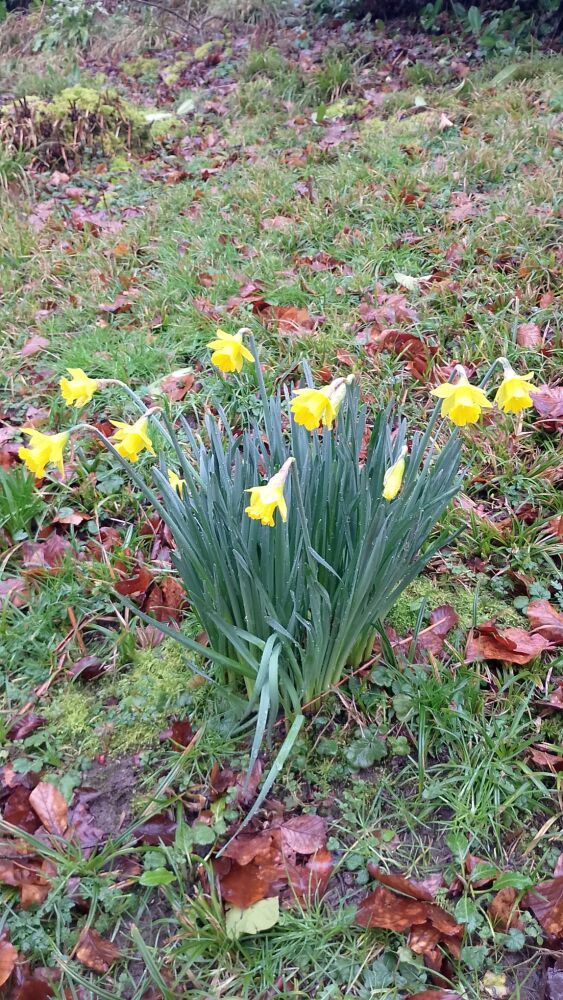 Dream catchers Wednesday 27th May 2.30 -3.30