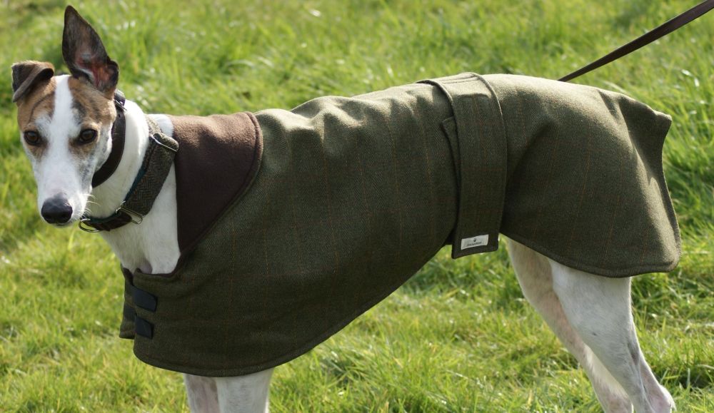Italian Tweed Whippet and Greyhound Coats 