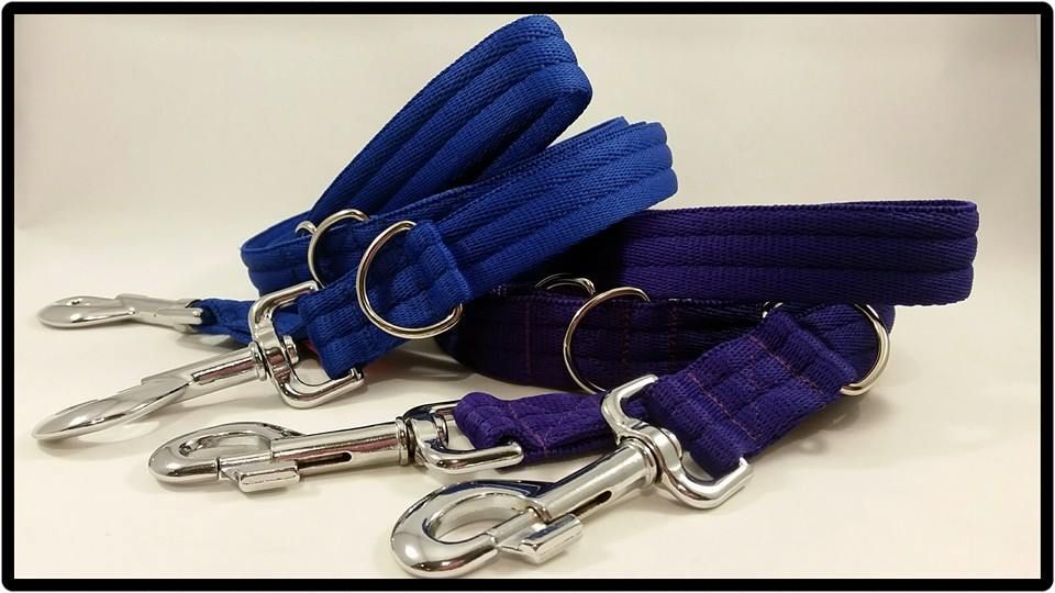 Ready Made Training Leads