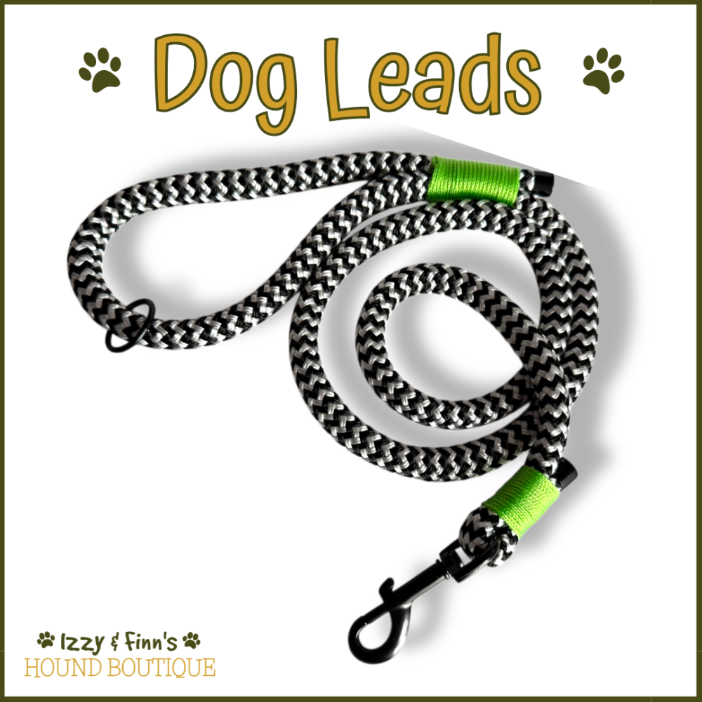 <!-- 004 -->Dog Leads