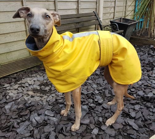 Waterproof coat (Snood neck) Waterproof coat (Snood neck)