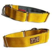 1.5" Double Webbing Yellow/Grey Whippet Martingale 