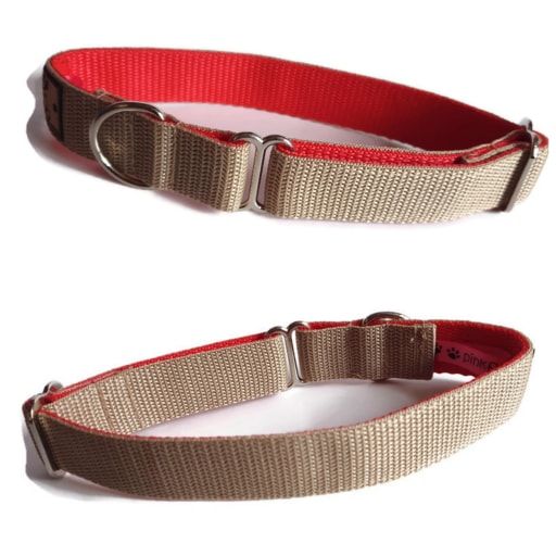 1" Double Webbing Beige/Red Greyhound House Collar