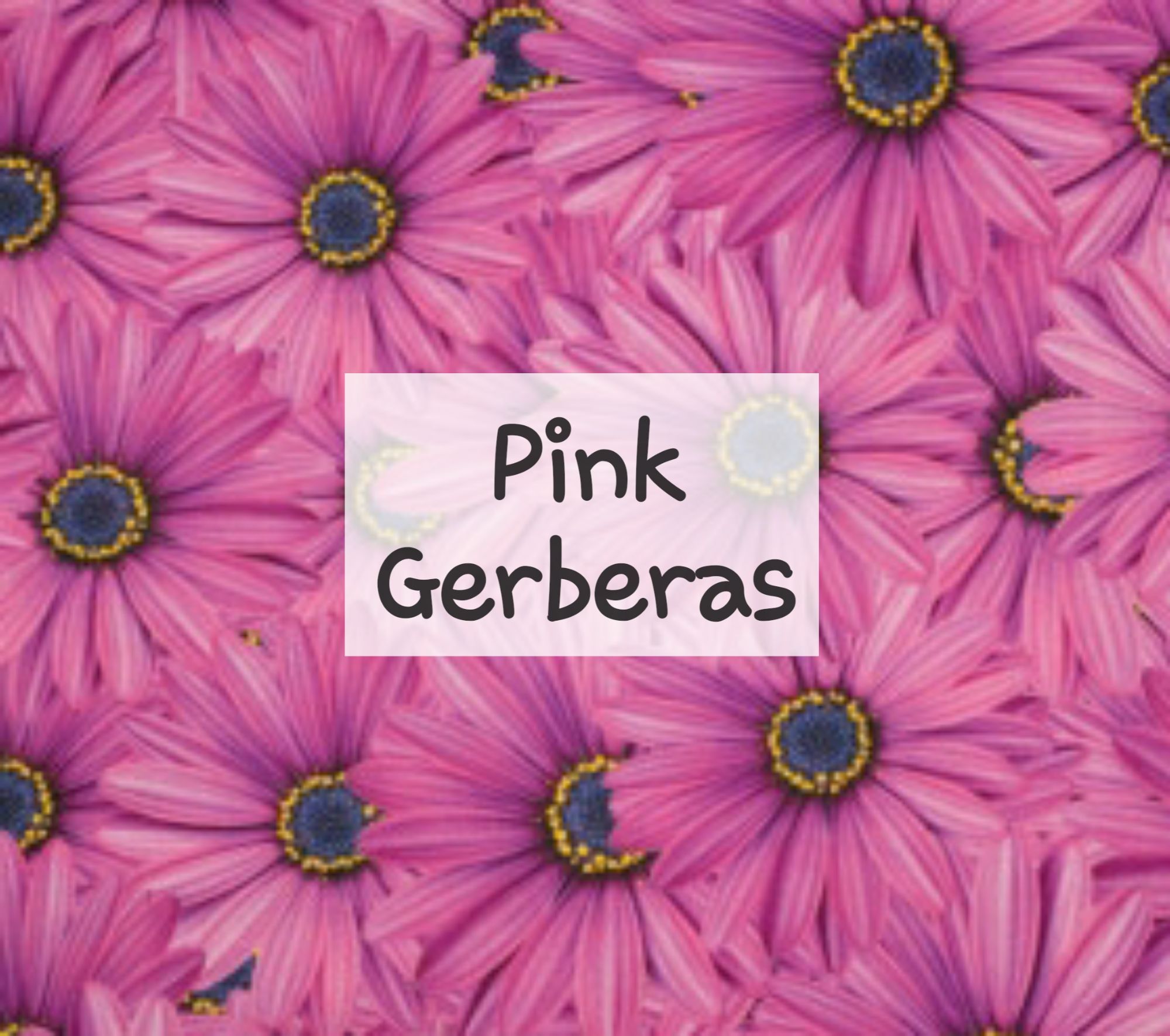 Pink Gerberas