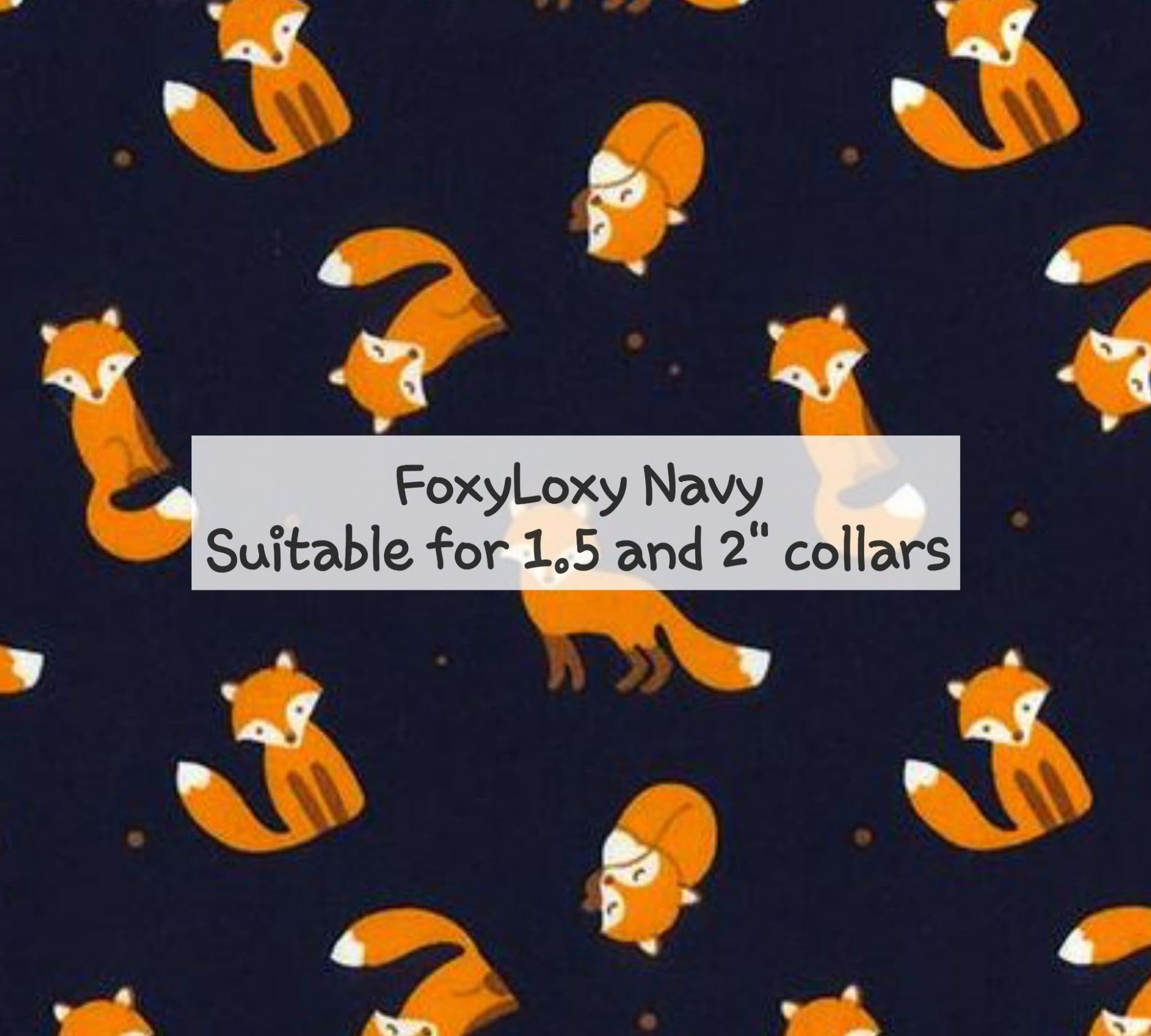 FoxyLoxy Navy