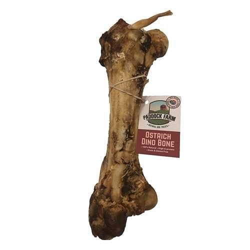 Dino' Ostrich Bone