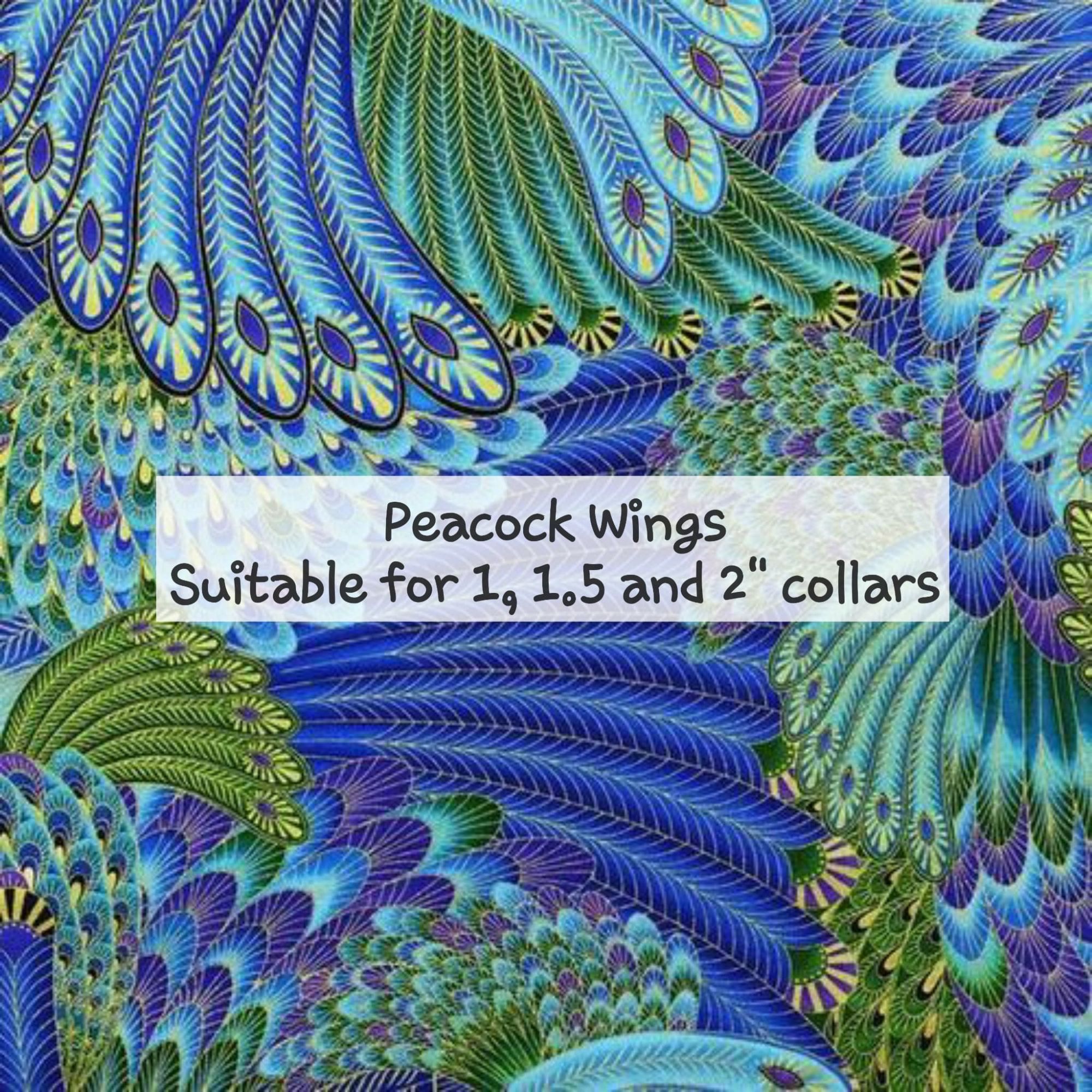 Peacock Wings