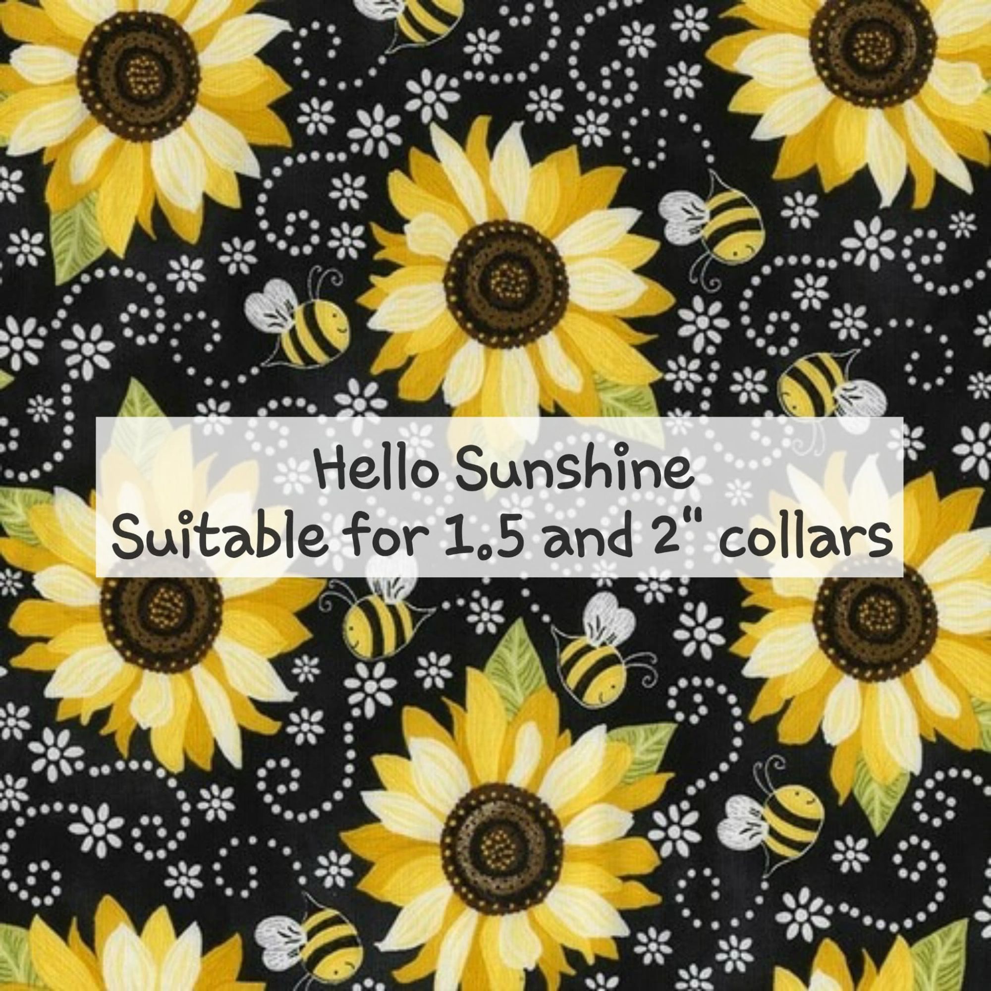 Hello Sunshine - Sutiable for 1.5 and 2 inch collars