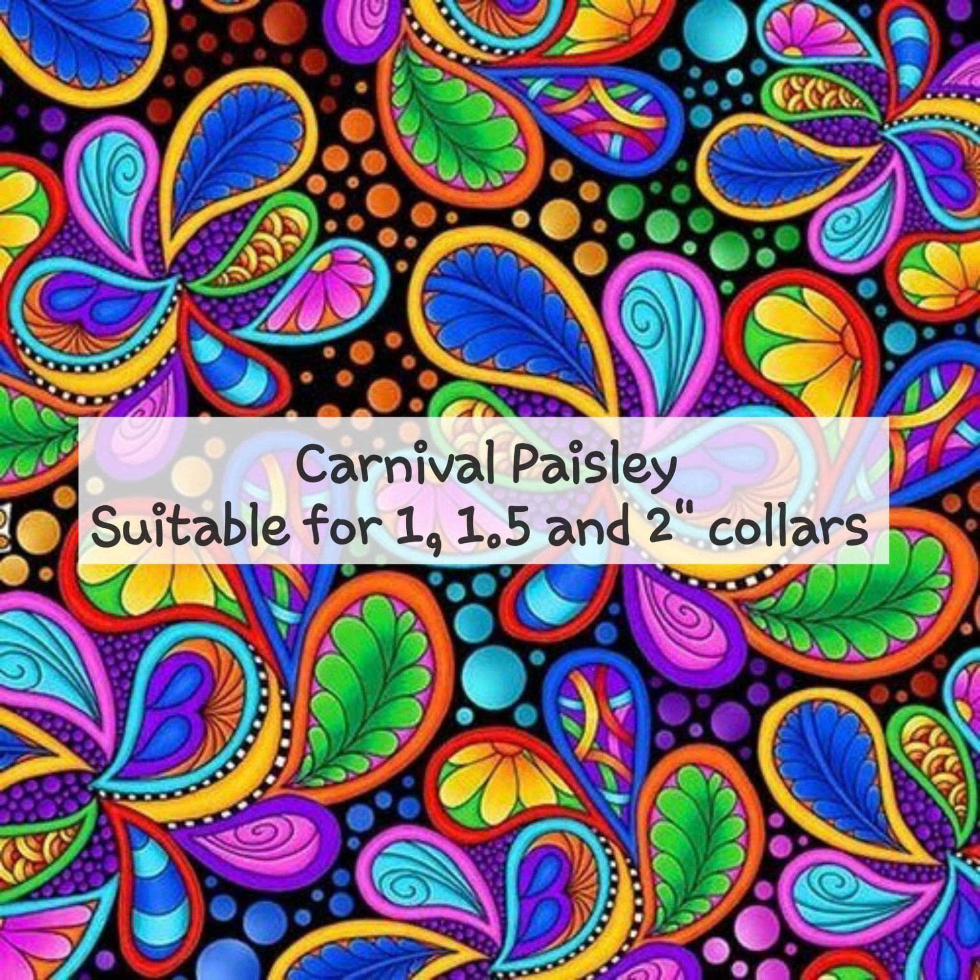 Carnival Paisley
