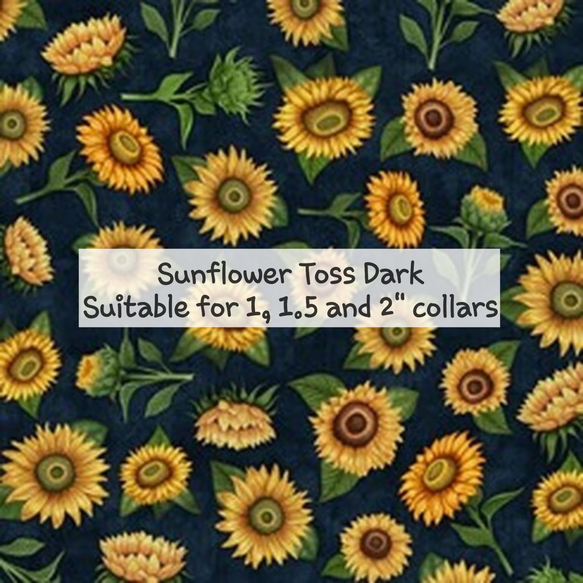 Sunflower toss dark