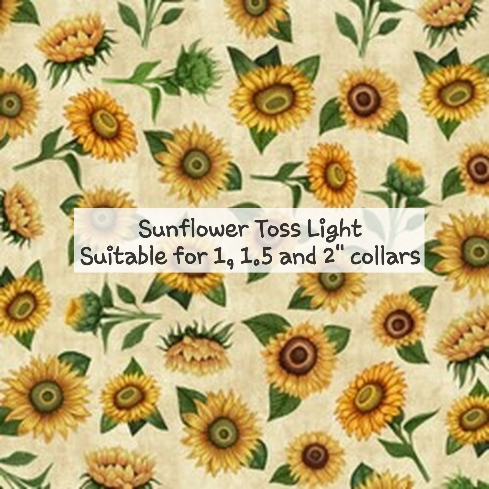 Sunflower toss light