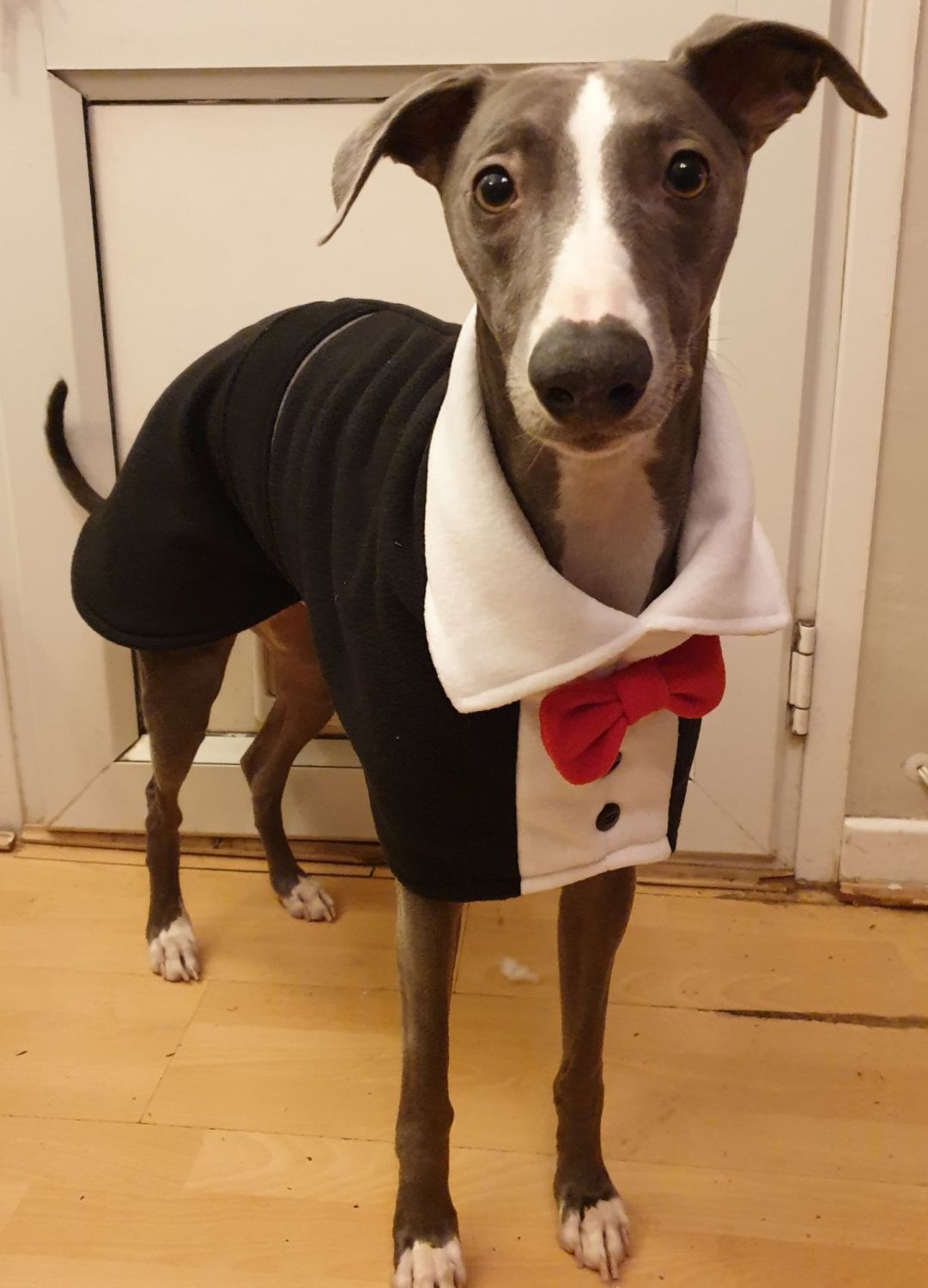 Fleece Tuxedo Coats