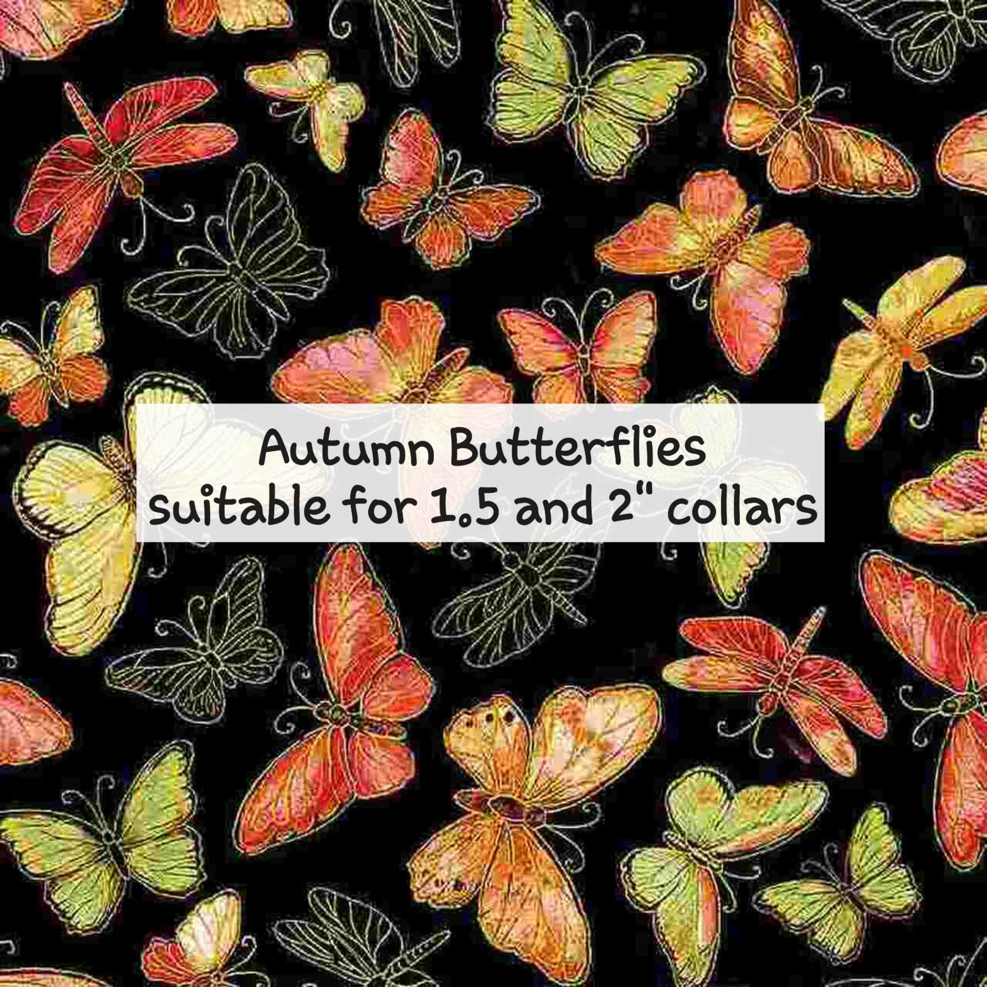 Autumn Butterflies