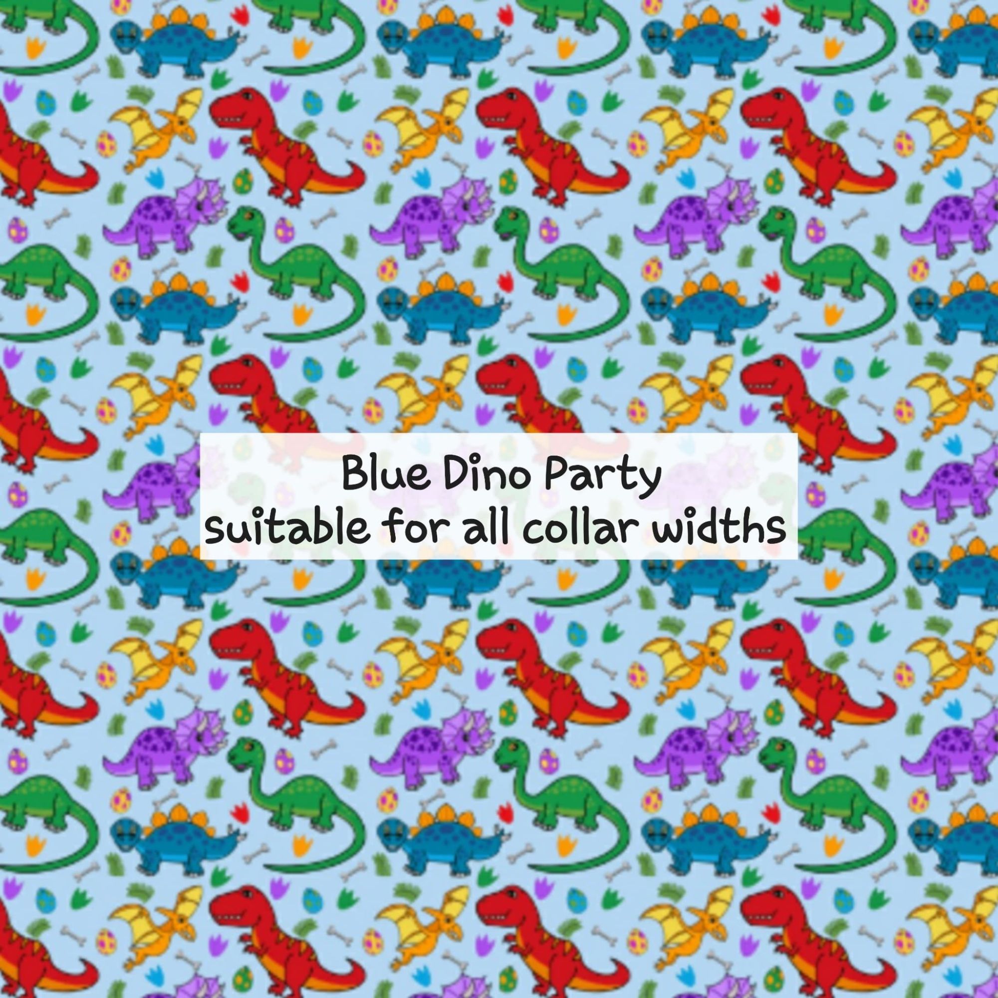 Blue Dino Party