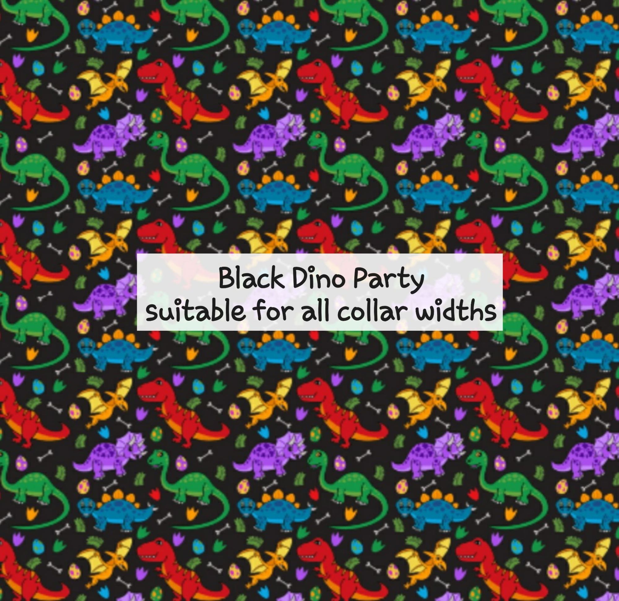Black Dino Party
