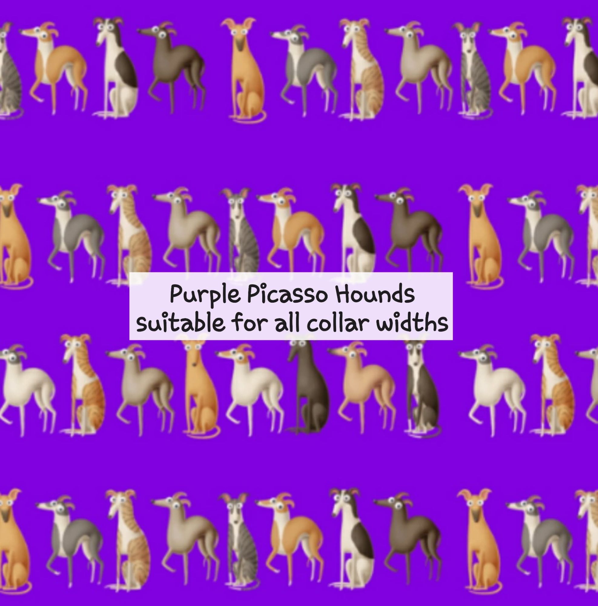 Purple Picasso Hounds - Suitable for all collar widths