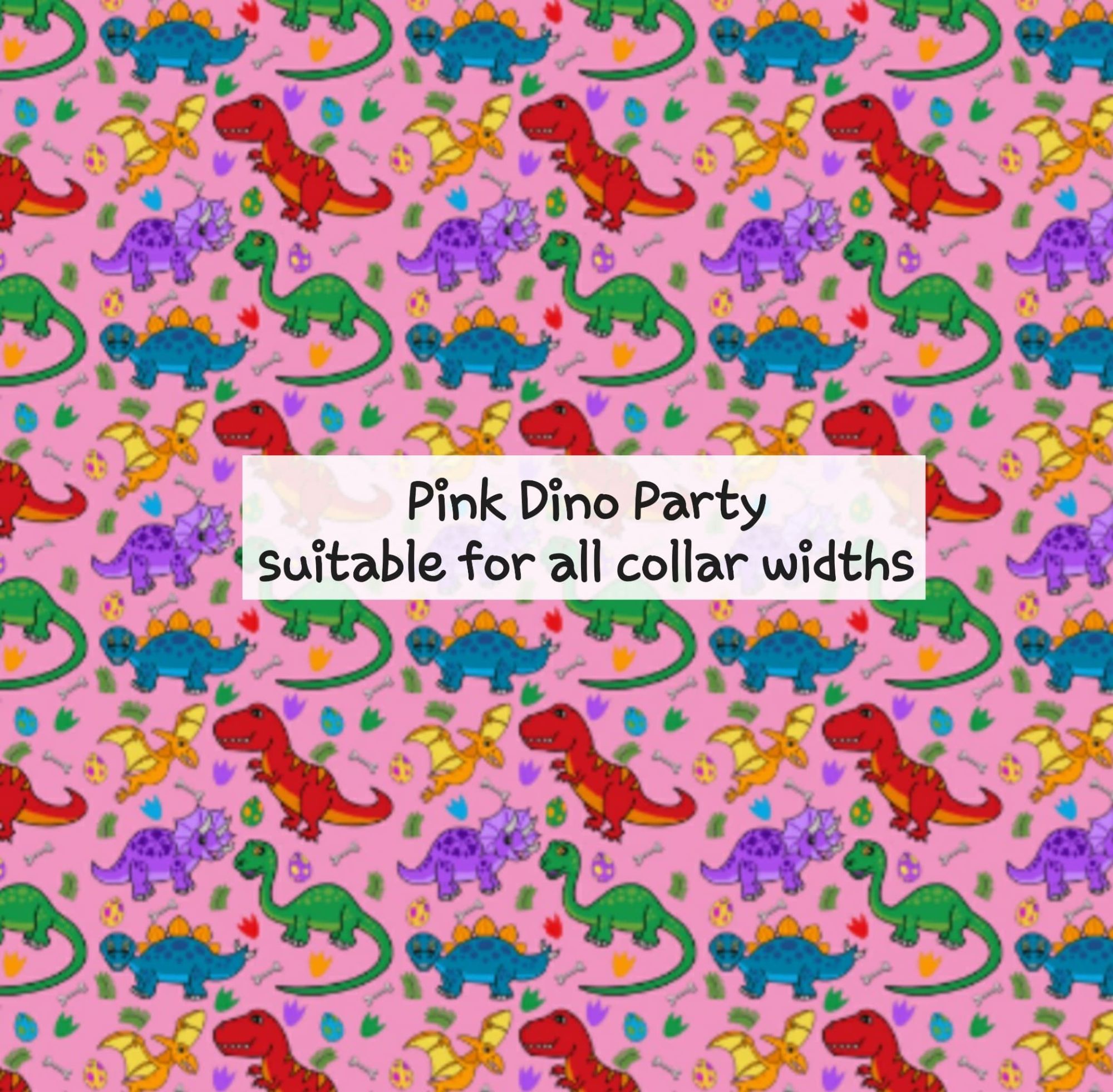 Pink Dino Party