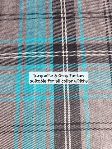 turquoise and grey tartan