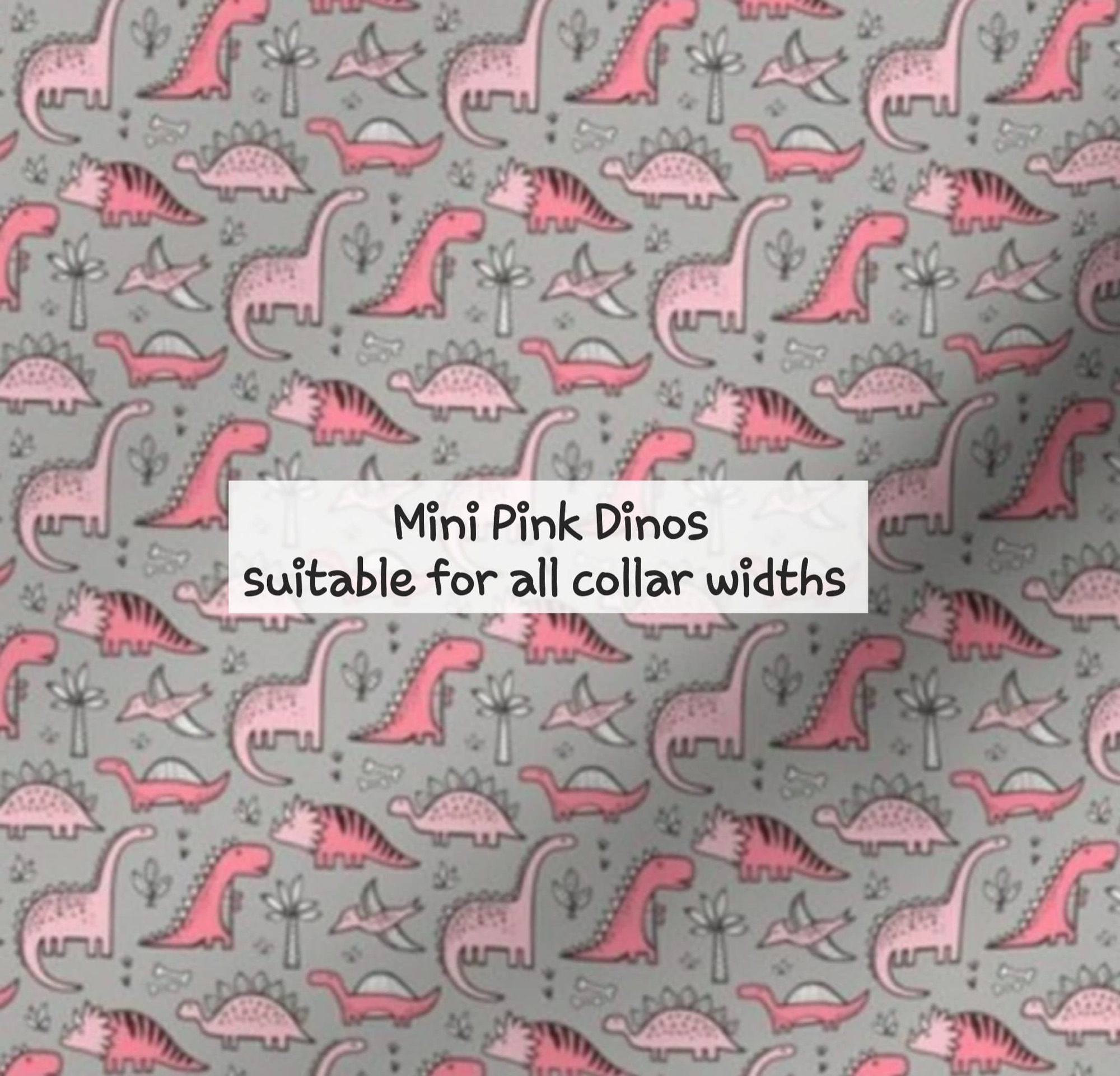 Mini Pink Dinos