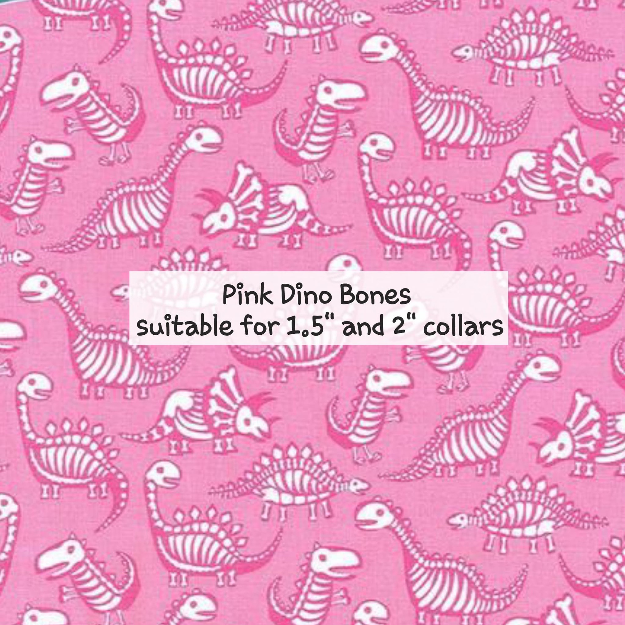 Pink Dino Bones