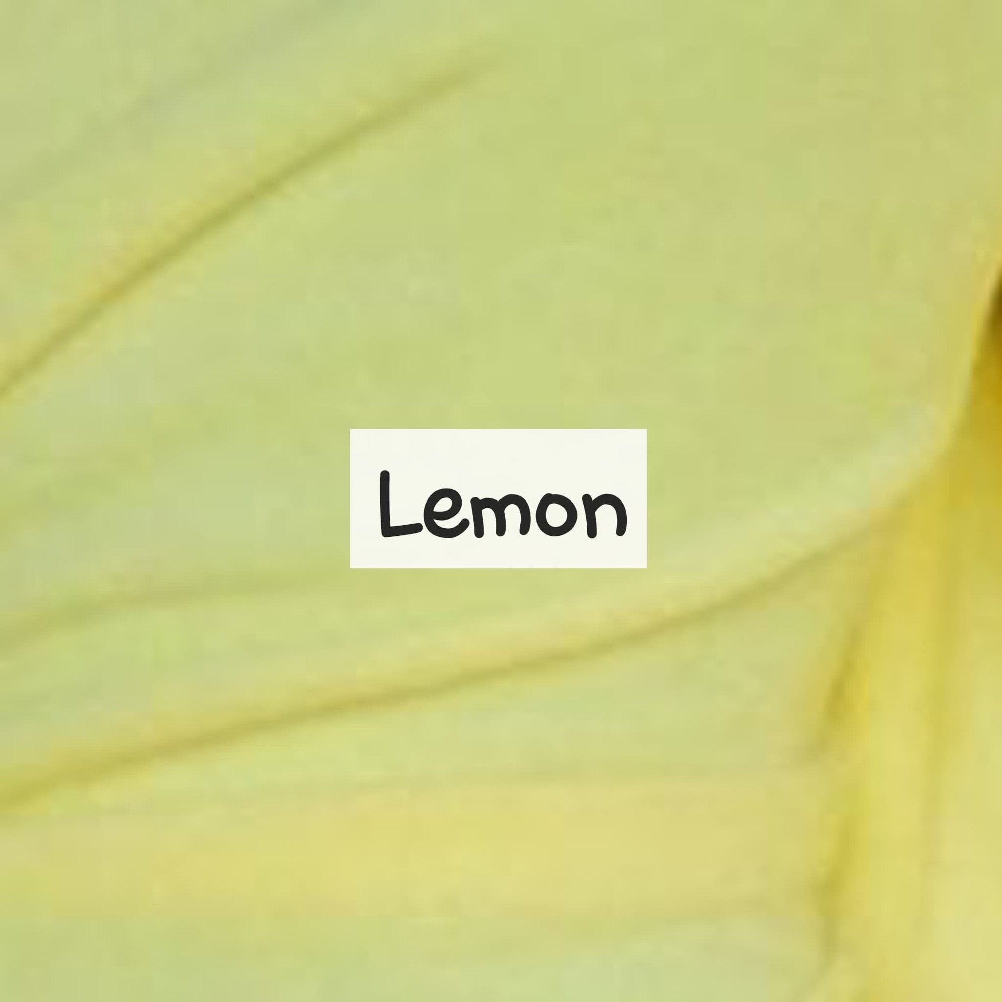 Lemon Fleece