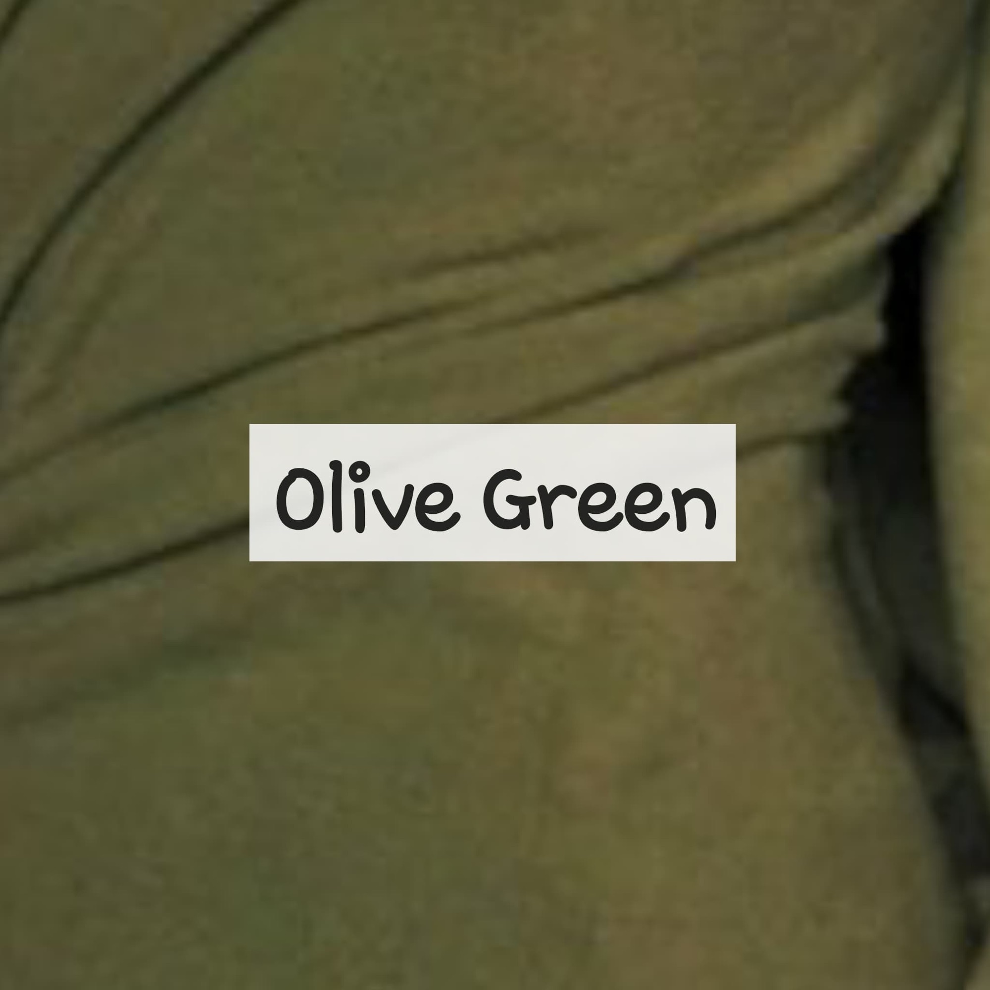 Olive Green Fleece